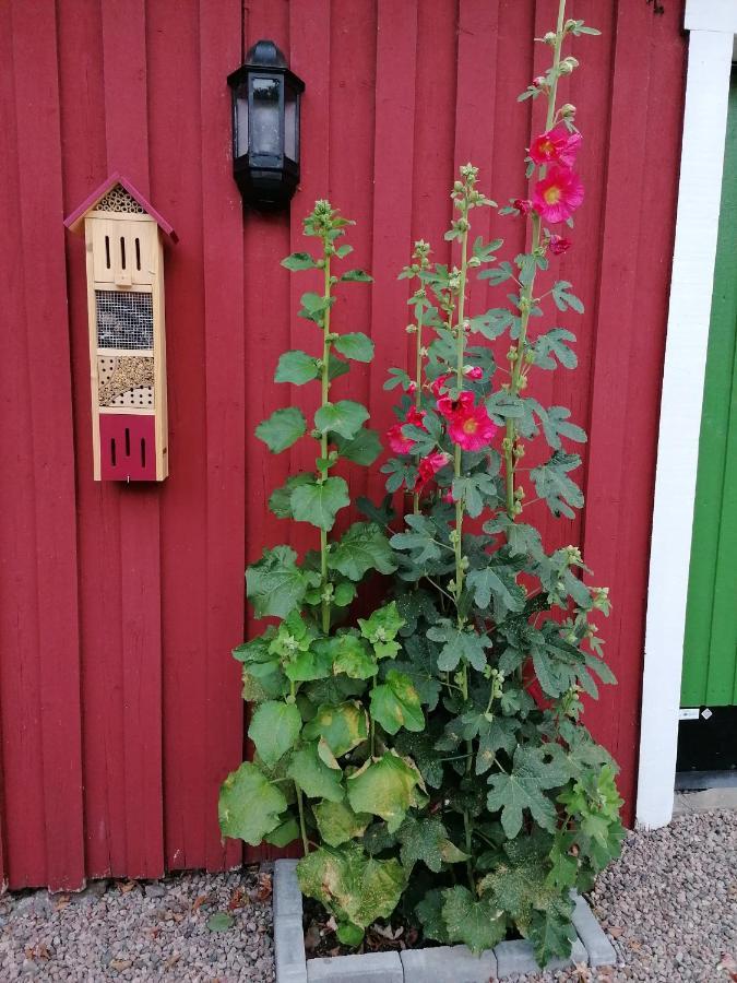 Naturnaera Charmigt Boende Helsingborg Ngoại thất bức ảnh